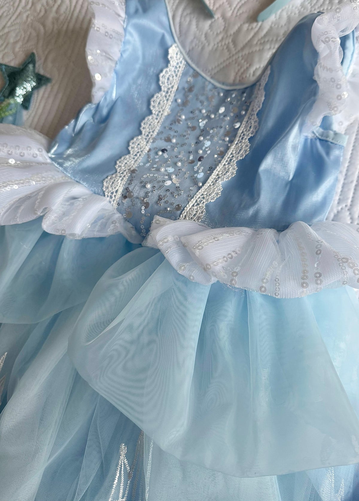 Princess Cinder Gown Dress
