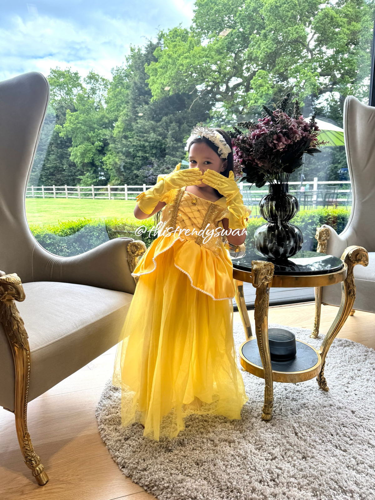 Princess Dress