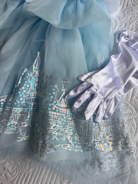 Princess Cinder Gown Dress