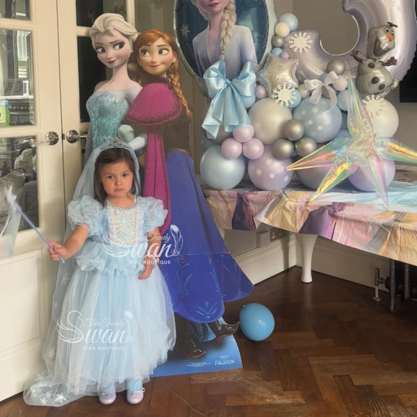 Ice Princess Gown
