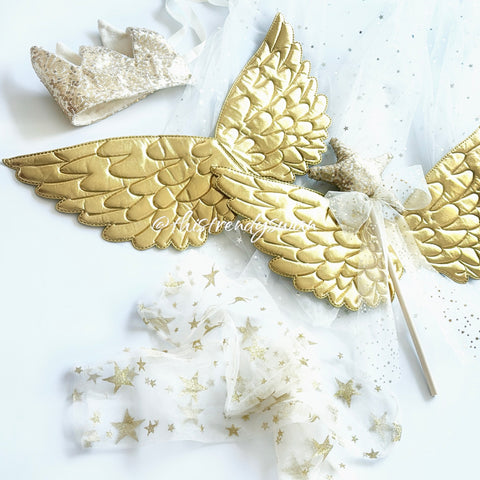Fairy/Angel Wings