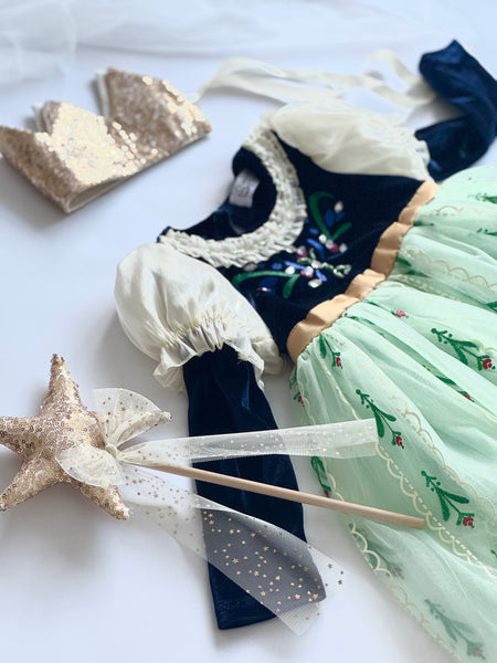 Princess Anna Frozen Dress