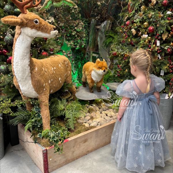 Ice Queen Princess Dress