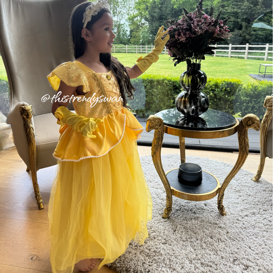 Princess Dress