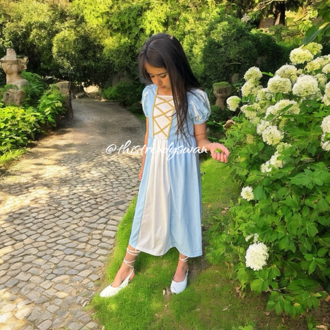 Cinderella Dress